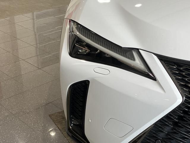 LEXUS UX250h