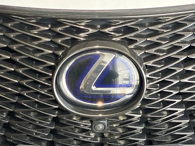 LEXUS UX250h