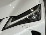 LEXUS UX250h