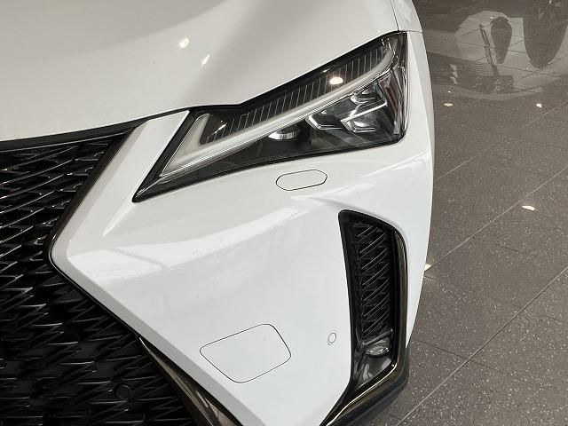 LEXUS UX250h