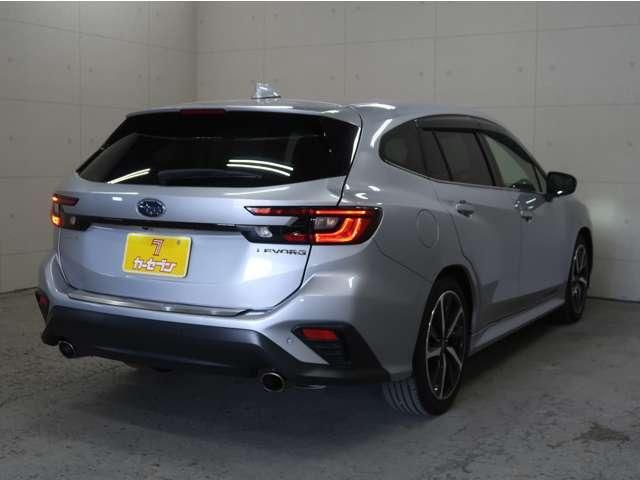 LEVORG