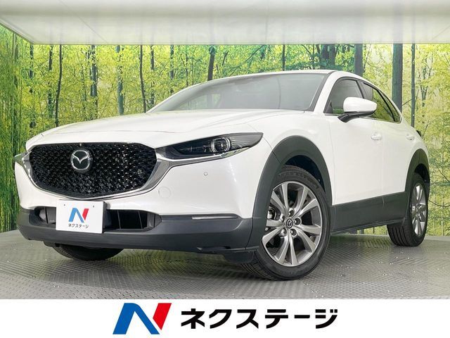 CX-30