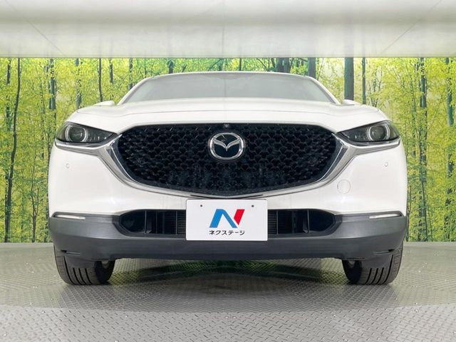 CX-30