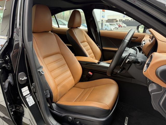 LEXUS IS300h