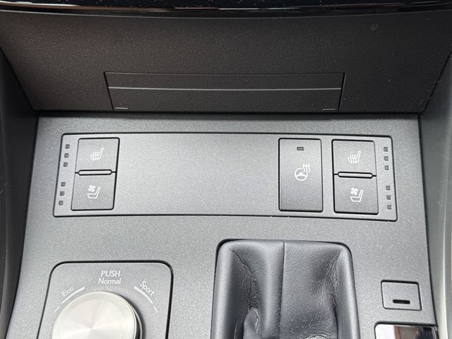 LEXUS IS300h
