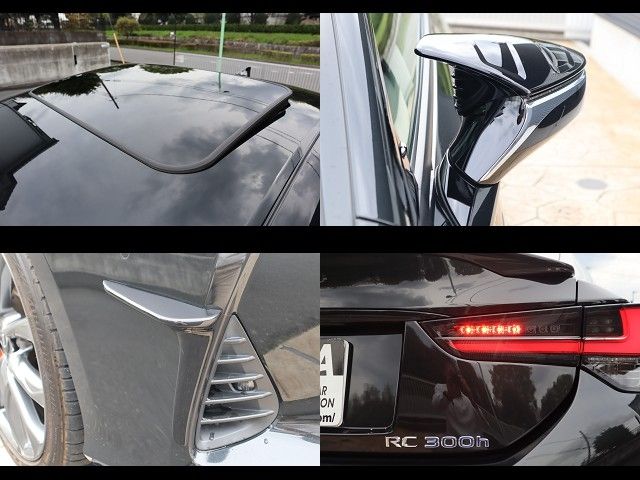 LEXUS RC300h