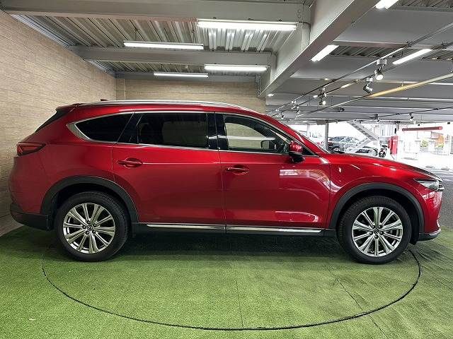 CX-8