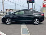 GRACE HYBRID