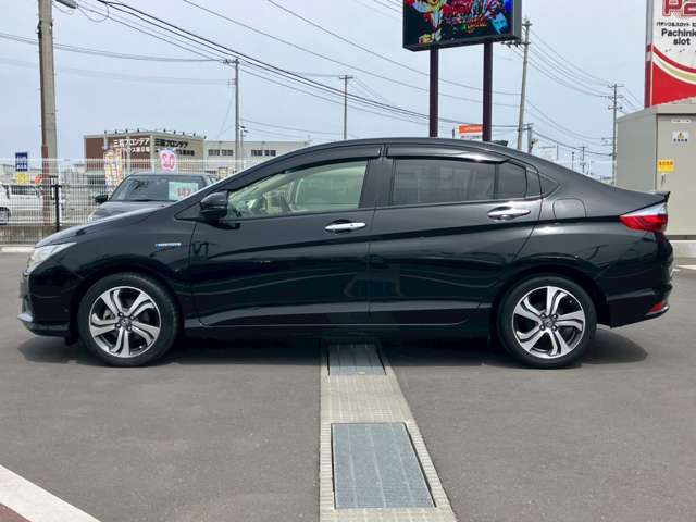 GRACE HYBRID
