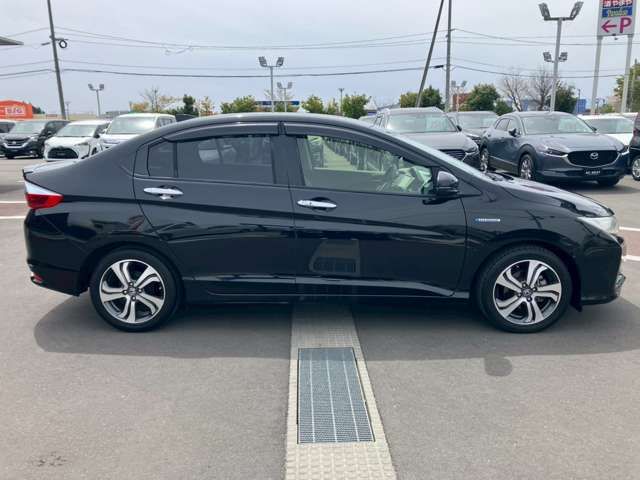 GRACE HYBRID