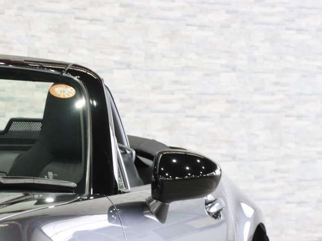 ROADSTER