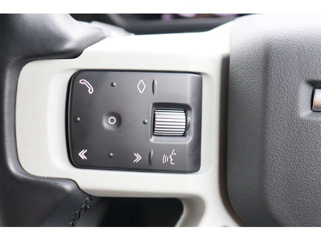 ROVER DEFENDER