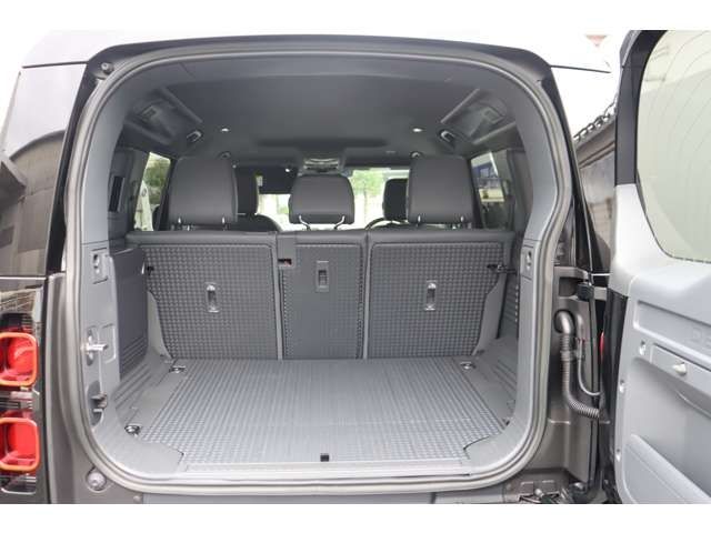 ROVER DEFENDER