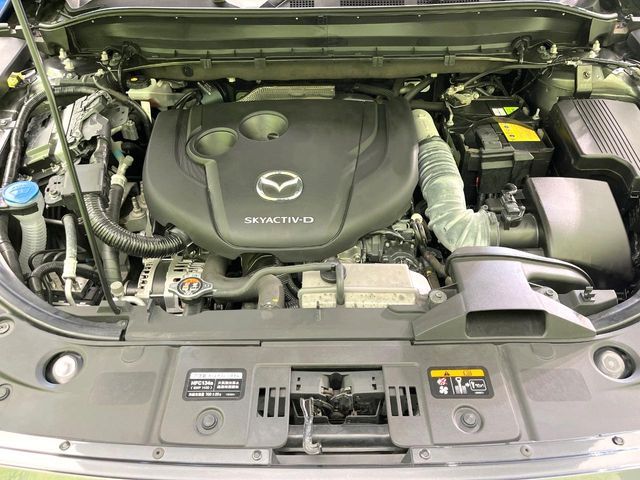 CX-8