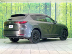 CX-60
