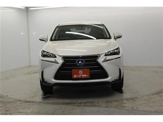 LEXUS NX300h