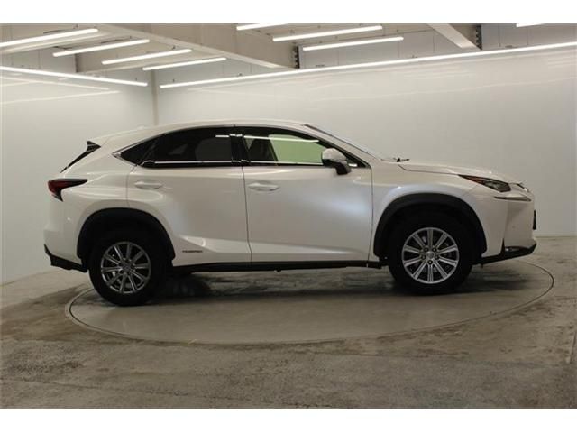 LEXUS NX300h