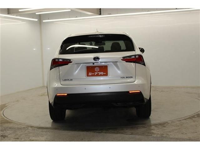 LEXUS NX300h
