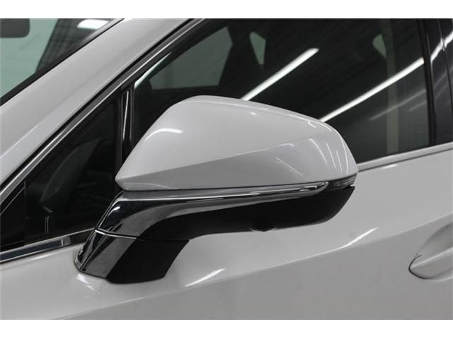 LEXUS NX300h