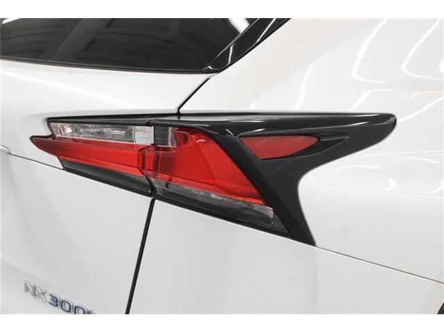 LEXUS NX300h