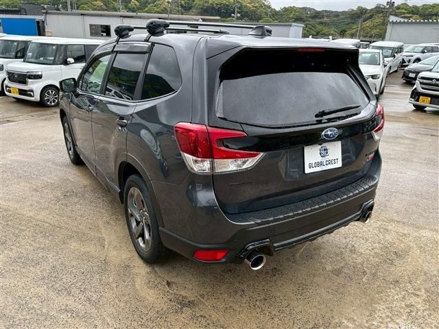 FORESTER