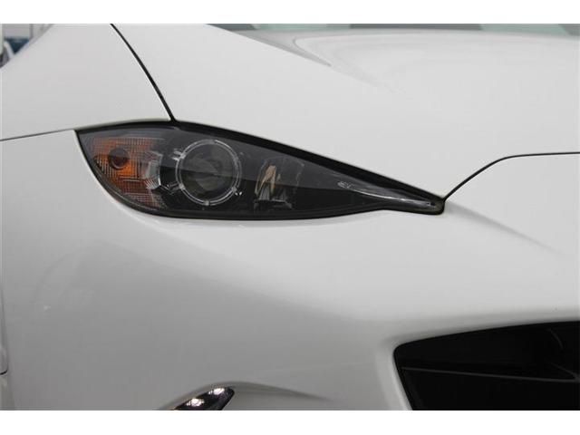 ROADSTER RF