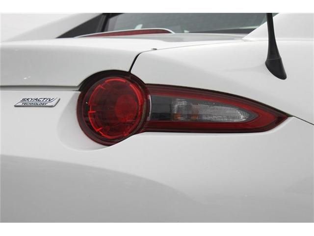 ROADSTER RF