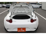 ROADSTER RF