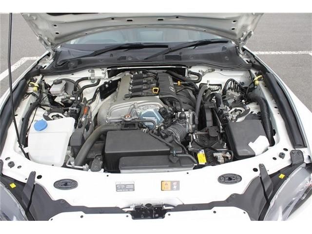 ROADSTER RF
