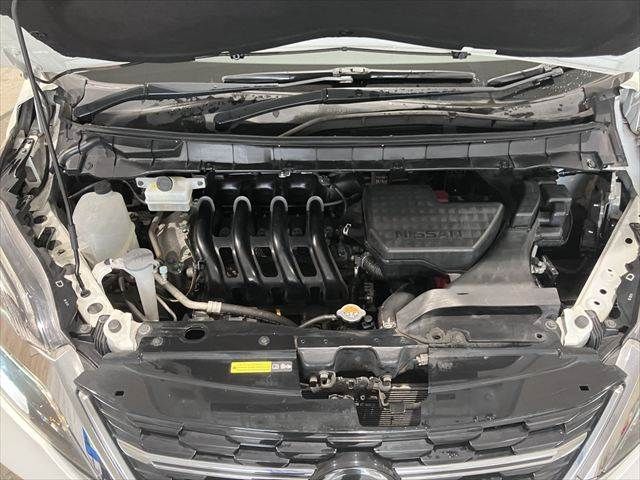 SERENA  S-HYBRID