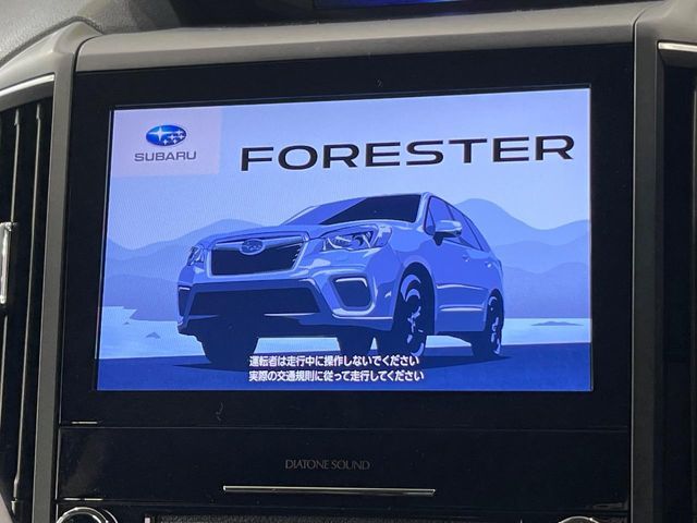 FORESTER
