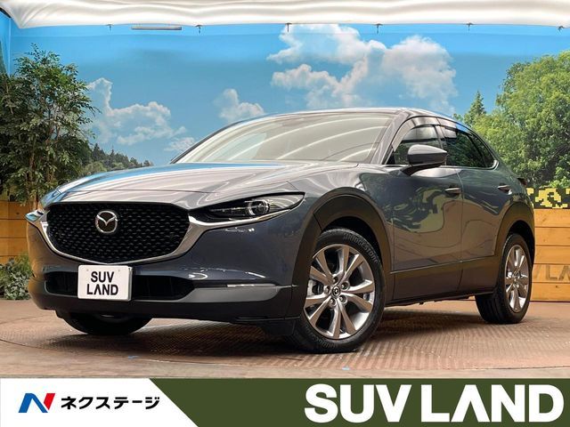 CX-30