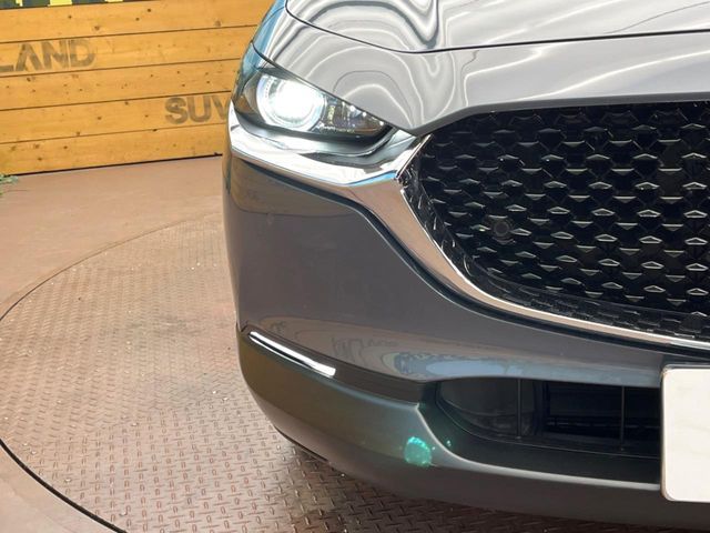 CX-30