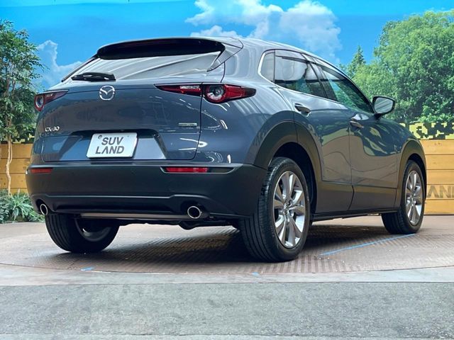 CX-30