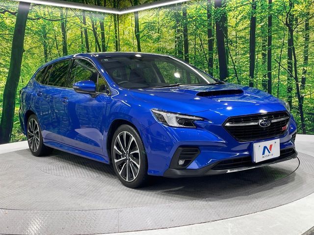 LEVORG