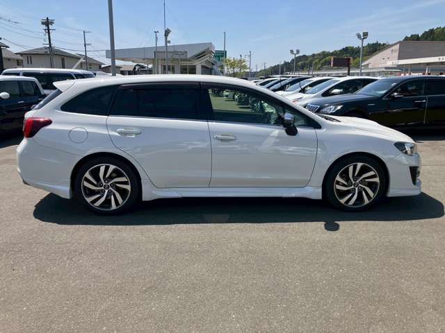 LEVORG