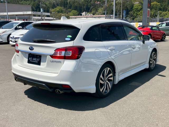 LEVORG