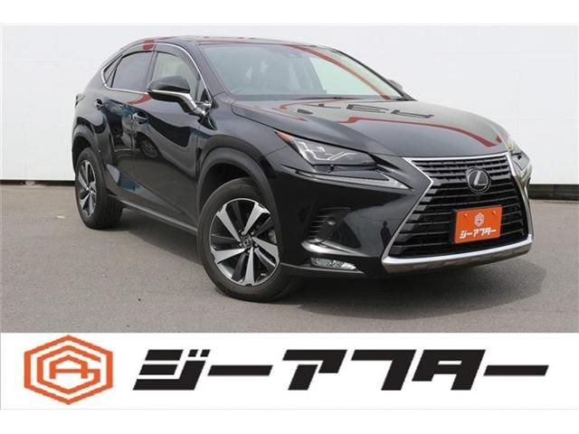 LEXUS NX300