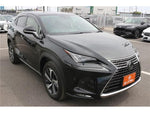 LEXUS NX300