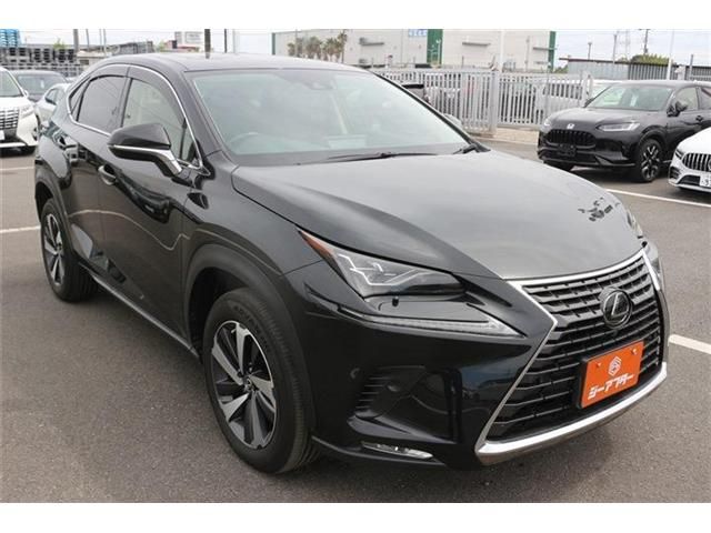 LEXUS NX300