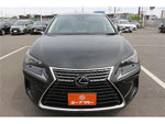 LEXUS NX300