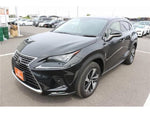 LEXUS NX300