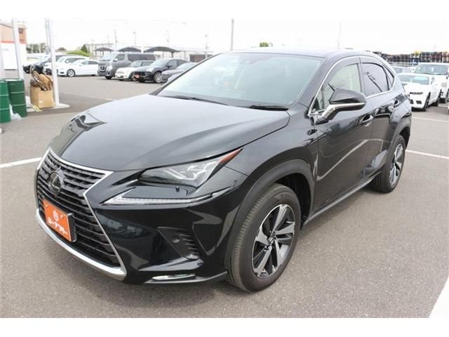 LEXUS NX300