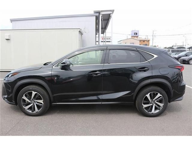 LEXUS NX300
