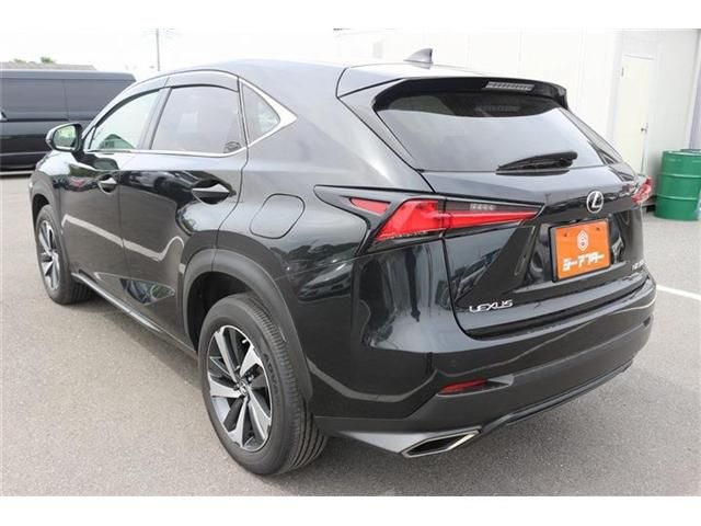 LEXUS NX300