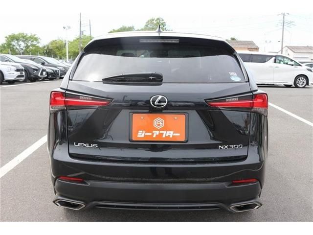 LEXUS NX300