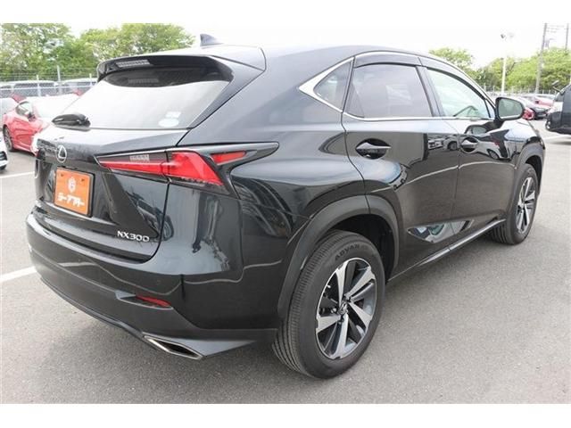 LEXUS NX300