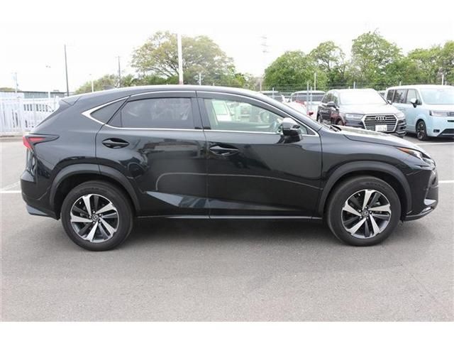LEXUS NX300