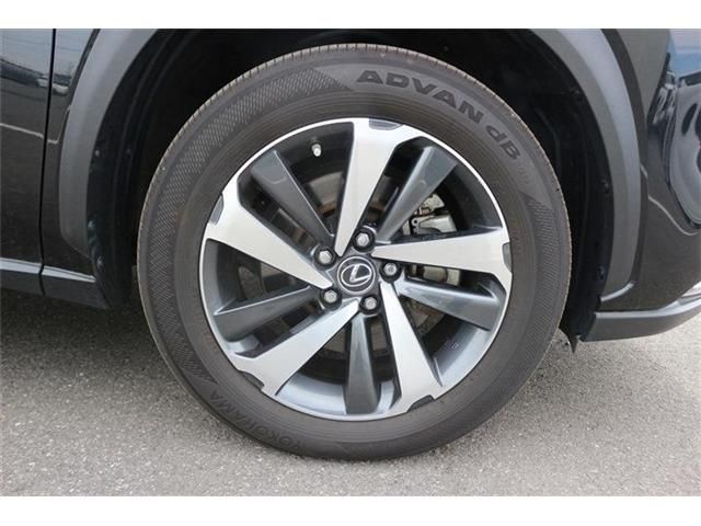 LEXUS NX300