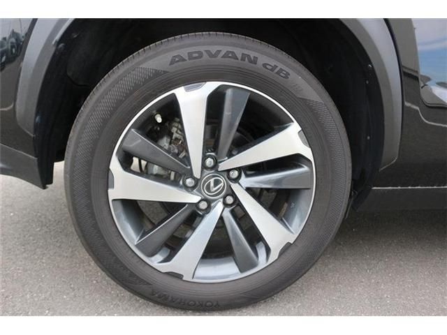 LEXUS NX300